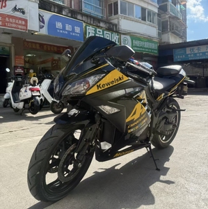 Kawasaki DOHC 8 soupapes Ninja 250 : Agilité, poids à vide de 163 kg, voitures et motos de sport d'occasion - Product Image 1