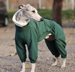 Abrigo de Invierno para Perros, Grueso, de Poliéster, Impermeable, Resistente al Viento y a la Nieve, para Whippets y Perros Terrier Pequeños - Product Image 3