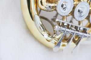 Corno Francese Piccolo di Alta Qualità in Ottone Giallo, Accordatura in Sib, Produzione OEM, Corno Francese per Bambini - Product Image 4