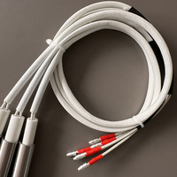 Cartouche chauffante personnalisée haute température à combustion sèche en acier inoxydable pour four à granulés de biomasse, tube de chauffage d'allumage