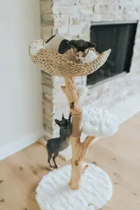 Menara kucing cabang tunggal Modern furnitur mendaki Kondominium kucing kayu berkelanjutan dan hadiah untuk pecinta kucing