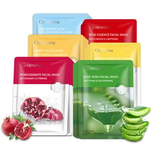 Schoonheid Gezicht Sheet Masker Whitening Hydraterende Natuurlijke Plantaardige Fruit Extract Private Label Gezichtsmasker Huidverzorging