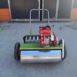 بذور الجسيمات الصغيرة الدقيقة الدقيقة لزراعة بذور الكرنب والفجل والخضراوات - Product Image 3