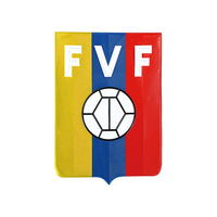 2024 Logo personnalisé 3d troupeau Tatami personnalisé fer sur Patch maillot de football Tatami Patch troupeau tissu
