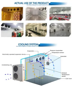 220V Copeland Compressor 150mm 120mm Panel Cold Room New Cooling System Fish Frozen Cold Storage Room