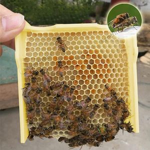 Colmena de cría Queen con Mini caja Nuc de apareamiento, herramientas de apicultura de plástico para apicultor, nueva condición con Marco, alimentador de abejas para granja - Product Image 6