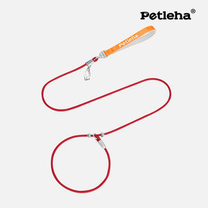 Integrierte kleine Hundeleine und umweltfreundliches klassisches Haustierhalsband mit festem Muster aus Polyester und Handleine - Product Image 5