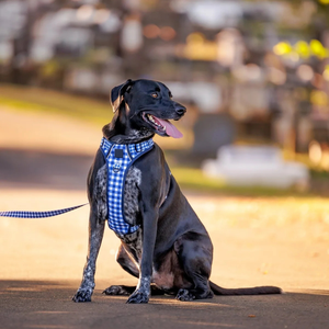 快適なステップイン式犬用ハーネス、頑丈で反射素材付き、アクティブなペットのための簡単操作ハンドル付きファッションハーネス - Product Image 3