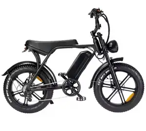 Magazzino ue nuovo lanciato doppia batteria bici adulti grasso pneumatico elettrico Ba fang moto