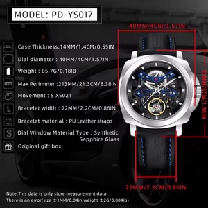 PAGANI Design YS017 Men's Sports Automatic <b>Mechanical</b> <b>Watch</b> Stainless Steel Sapphire Glass Fashion Leather Waterproof Luminous - Product Image 2