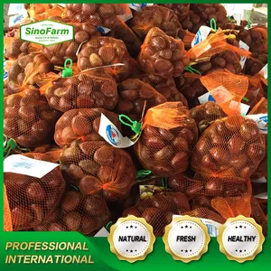 Marchio Sinofarm di castagno cinese fresco fornitura di fabbrica cina prezzo all'ingrosso castagne per l'importazione giapponese castagne acquirente