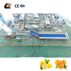 Ligne de lavage et de séchage pour fruits (cerises, oranges, mangues) et légumes (tomates, choux) avec système de lavage Vortex - Product Image 5