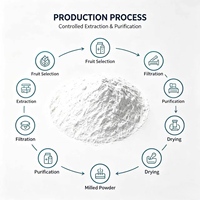 Fabrieksleverancier Groothandelsprijs Zaagpalm Extract Poeder OEM Verpakking