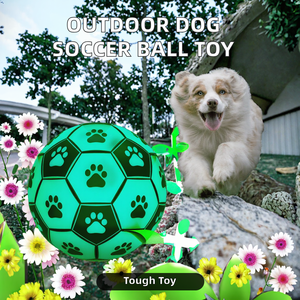 Produttore all'ingrosso durevole resistente al morso in Nylon pallone da calcio giocattolo all'aperto cane gatto interattivo EVA PU vendita calda su per Amazon - Product Image 2
