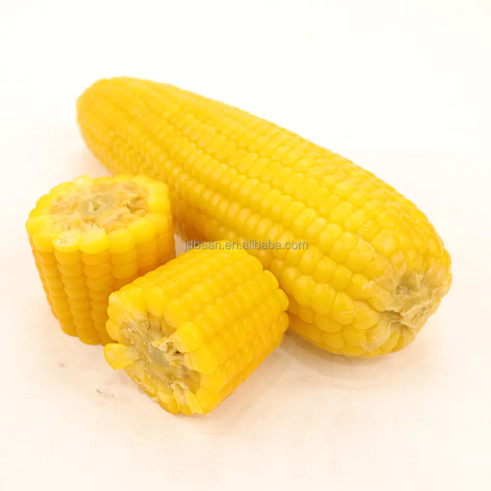 Épis collants de maïs sucré jaune prêt à manger à saveur originale biologique