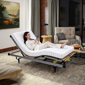 Giường điện điều khiển từ xa OKIN Đức, giường đơn điện, giường đôi điện, chức năng nâng thông minh, khung giường điều chỉnh thông minh - Product Image 1