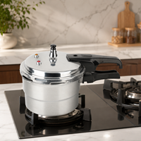 Mini-cuiseur à pression en aluminium avec plaque vapeur, surface polie, compatible gaz et induction, cuisson rapide et sûre
