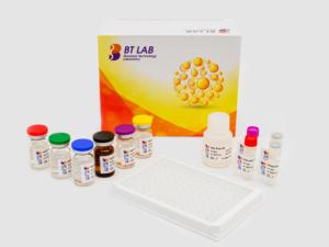 E0087Cat кошачий фактор роста нервов, комплект NGF ELISA - Product Image 4