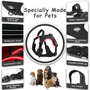 Tali kekang anjing bercahaya reflektif, dapat diisi ulang tahan air untuk anjing dengan lampu LED, rompi <span class=keywords><strong>Harness</strong></span> untuk berjalan di malam hari