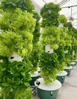 Tours Aéroponiques de Qualité Alimentaire à 5/7/9/11/12 Niveaux, Système de Culture Hydroponique Vertical Automatique pour Serre