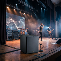 Subwoofer actif néodyme de 12 pouces, 300 W, haut-parleur de basses professionnel alimenté pour la scène, les salles de conférence, les auditoriums et les concerts