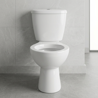 Produits sanitaires en porcelaine pour salle de bain, céramique, WC deux pièces, WC asiatique, WC indien, WC occidental, cuvette de toilette, fabrication en usine