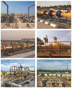 Régulateur de tension piloté Terrence PL3000 pour système de contrôle du gaz, personnalisable OEM - Product Image 6