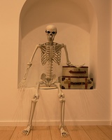 Squelette en plastique suspendu et articulé, design réaliste de crâne, pour la décoration intérieure et extérieure, idéal pour la maison, le jardin, Halloween et les fêtes effrayantes.