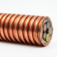 Câble d'alimentation 0,6/1 kV résistant au feu, isolé minéral, à 5 conducteurs en cuivre, norme IEC RTTZ, pour système de protection incendie