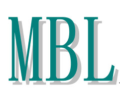 Qingdao Mingbaili Industry And Trade Co., Ltd. logo
