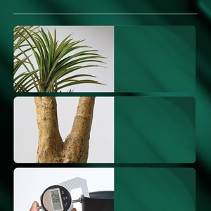 Plante artificielle Dracaena Yucca pour projet de paysage en gros, arbre artificiel - Product Image 4