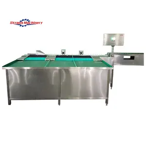 Poultry Egg Sorting And Packing Machine Egg Grading Machine Chicken Egg Classifier