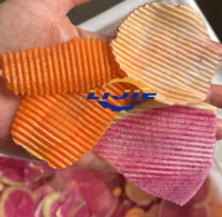 LIJIE Multifunctionele Premium Aardappelchips Fruit- en Groentesnijder 2.5KW SUS304 Efficiënte Snijmachine Motor Kern