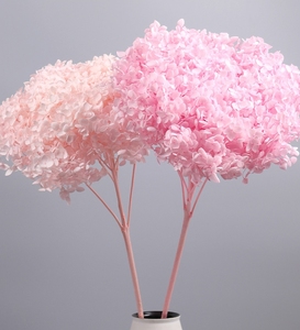 Trang Trí Đám Cưới Bất Tử Bảo Quản Tươi Anna Hoa Tú Cầu Đầy Màu Sắc Mãi Mãi Kéo Dài Hydrangeas Với Thân Cây - Product Image 3