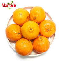Citrine fraîche Lokan, 1 pièce, prix d'usine, cadeau de fruits, Mandarin, Orange