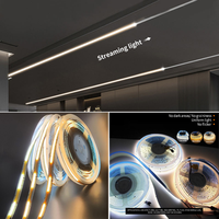 Bande LED flexible à double couleur 24V 576 LED/m, effet eau courante, largeur PCB 10MM, haute densité, lumière linéaire pour décoration intérieure