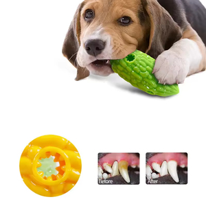 Jouets interactifs pour chiens en forme de melon amer, jouets à mâcher et à grincer en TPR pour chiens, jouets de dentition en forme de courge amère - Product Image 6