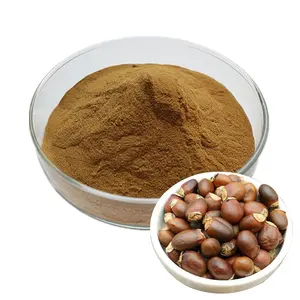 Extrato de sementes de lichia em pó10:1 extrato de sementes de lichia de grau superior em pó 100 g/saco