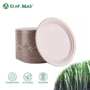 Customize Compostable Sugarcane Bagasse Biodegradable Disposable Plates