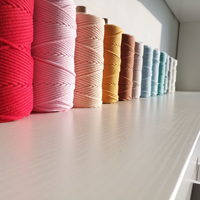 Vente en gros de cordon tressé décoratif coloré DIY corde 4mm cordon macramé cordon en coton tressé