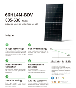 Pannelli Solari Monocristallini in Silicio Tipo N 66HL4M-BDV 132 (66*2) Celle a Prezzo all'Ingrosso - Product Image 2