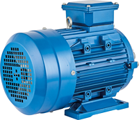 Moteur électrique triphasé asynchrone à haut rendement YE2-634-4 (0,37 kW)