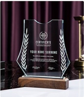 Plaques de trophées en cristal vierges avec base en bois pour logo personnalisé, cadeau d'entreprise, entreprise