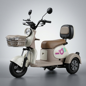 Motos puissantes pour la route et la ville, tricycles à grande vitesse pour adultes, moteur haute puissance 501-800W, livraison rapide - Product Image 4