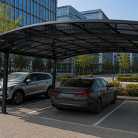 Abri double pour voiture avec structure en aluminium 6063-T5, revêtement UV 50-100 micromètres, et plaque en polycarbonate massif de type M pour allée de villa