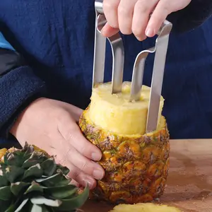 Mutfak alet manuel paslanmaz çelik ananas seçici tart bıçağı ananas soyucu kesici dilimleme