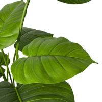 Arbre Bonsaï Pothos Artificiel Décoratif de 60cm avec Feuilles en Plastique pour Affichage de Table Plante Artificielle pour la Décoration Intérieure