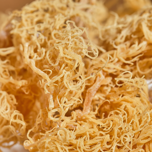 Precio muy barato, musgo marino irlandés seco orgánico Natural/alga marina, bolsa de 25kg picada altamente nutritiva AD Hana - Product Image 1