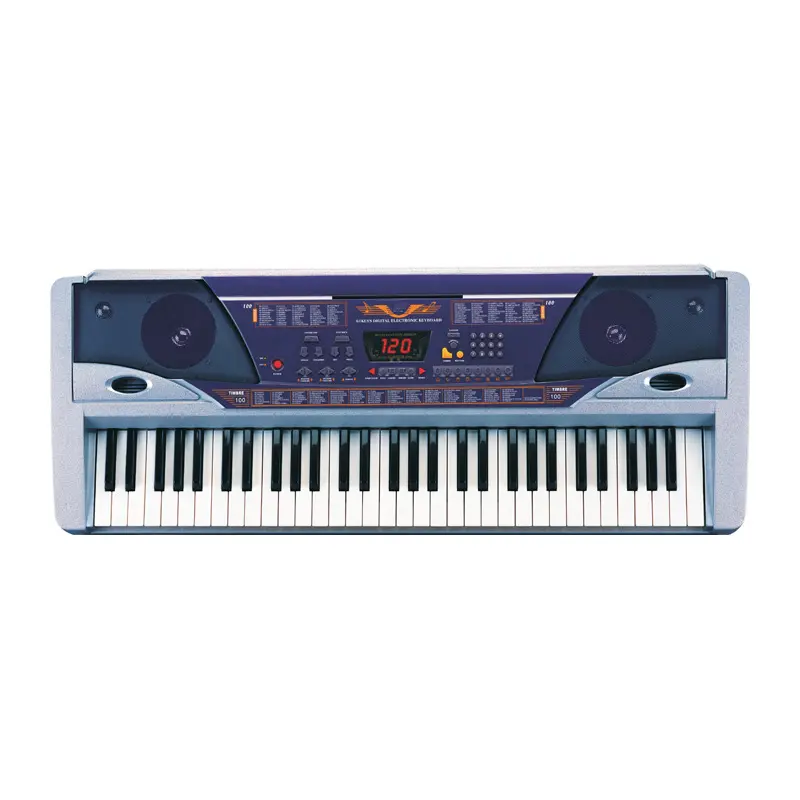 HUASHENG High Quality 61-Key Standard Keyboard Instruments Electric Organ Model Design 100 Timbres Electric Piano for Gifts