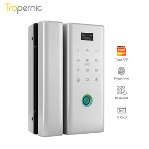 Cerradura inteligente an ninh tự động xi lanh điện thả Bolt từ tuya cửa kính khóa - Product Image 2